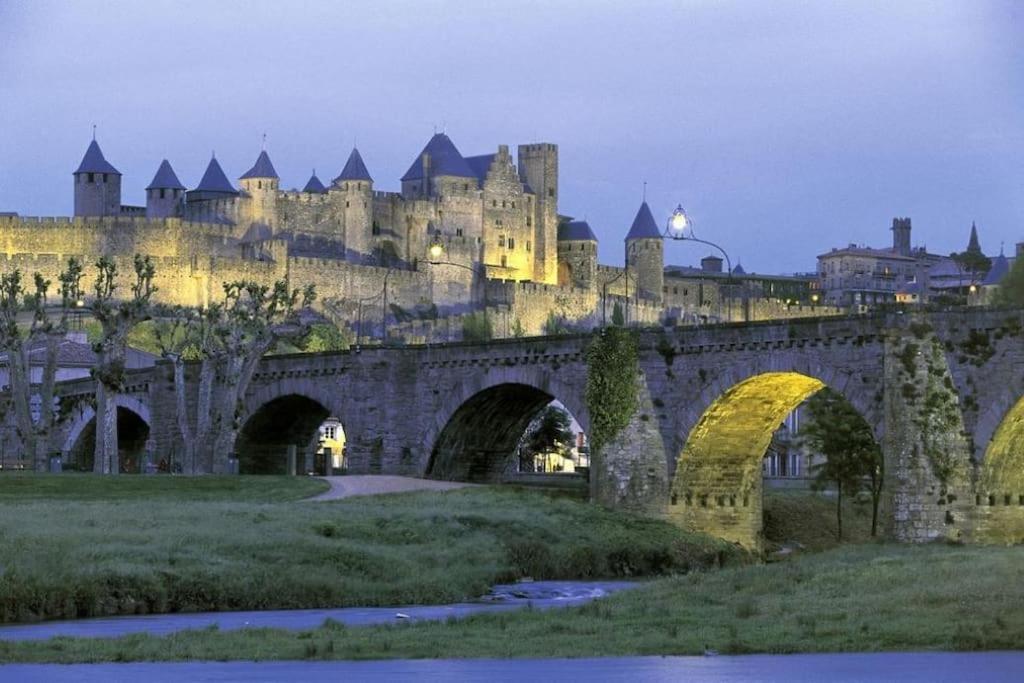 Maison Sur Les Hauteurs De Carcassonne Exterior foto